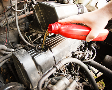 Auto Maintenance & Oil Change in Pinellas County, FL